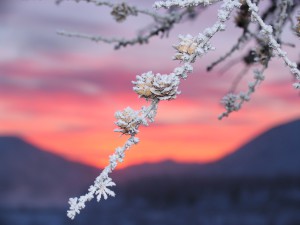 IMG_0283