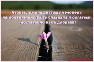 getImage (15)