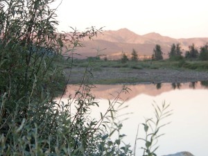 P7050719