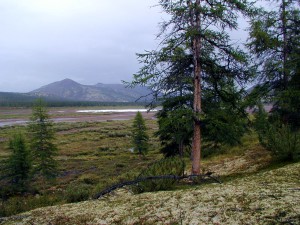 P8100043