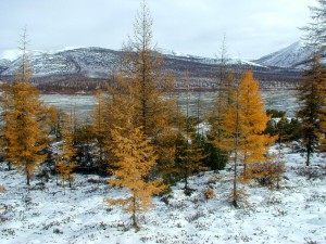 P9170012