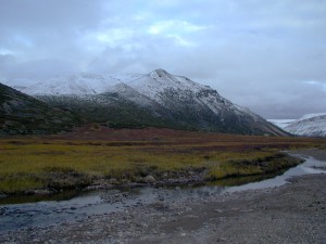 Pan lednuc1 29