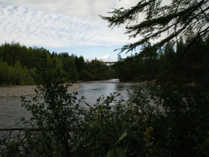 getImage