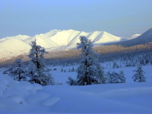 Чайко_Кубака_1