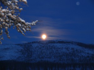IMG_0167