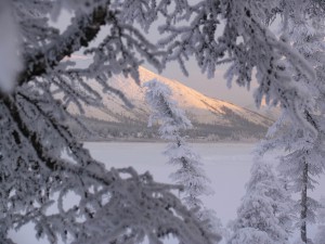 IMG_0302