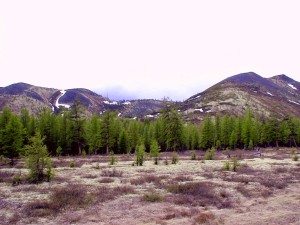 P6110828