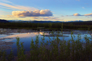 getImage (11)