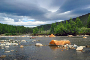getImage (21)