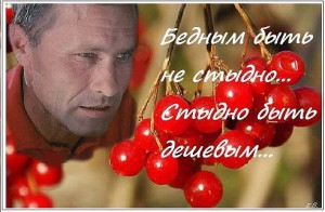 image (3)