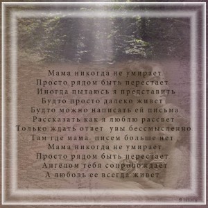 image (3)