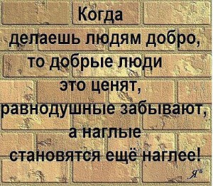 image (4)