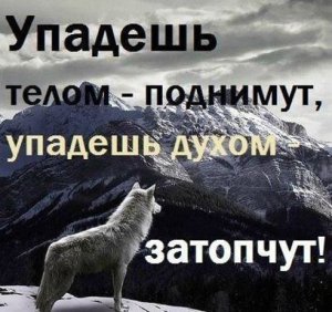 image (1)