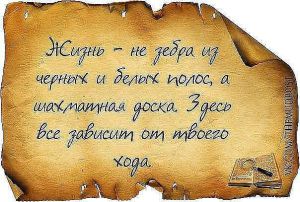 getImage (8)