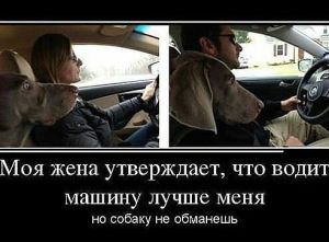 getImage (5)