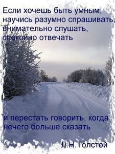 image (11)