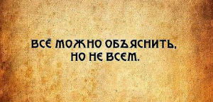 image (13)