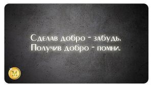 image (13)