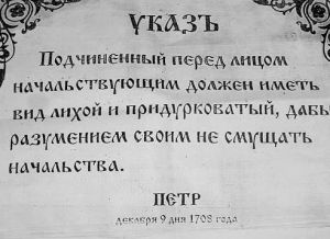 image (14)