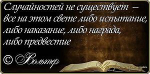 image (15)