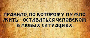 image (16)