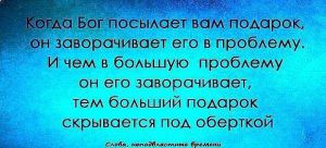 image (17)