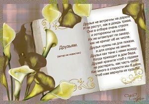 image (20)