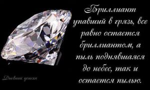 image (21)