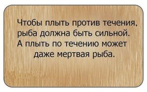 image (23)