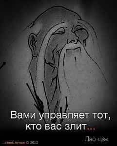 image (24)