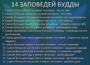 image (26)