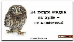 image (2)