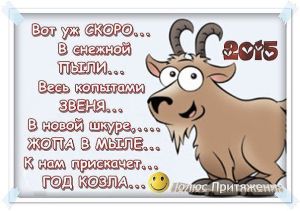 image (5)