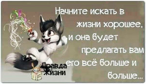 image (6)