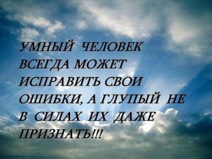 image (6)
