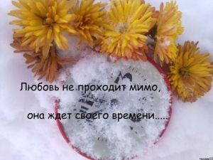 getImage (13)