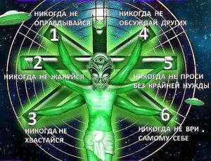 image (11)