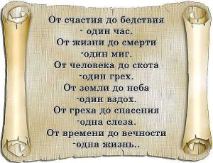 image (14)