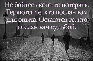 image (15)