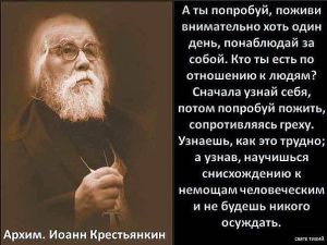 image (17)
