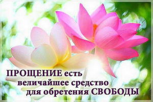 image (18)