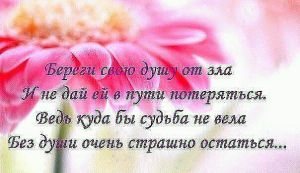 image (23)