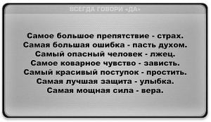 image (26)