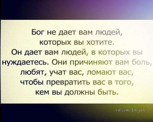 image (27)