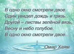 image (3)