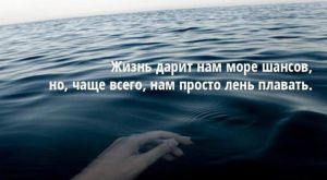 image (32)