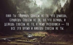image (4)