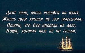 image (5)