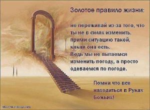 image (7)