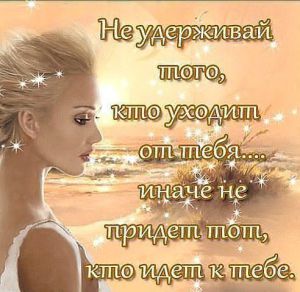 image (7)